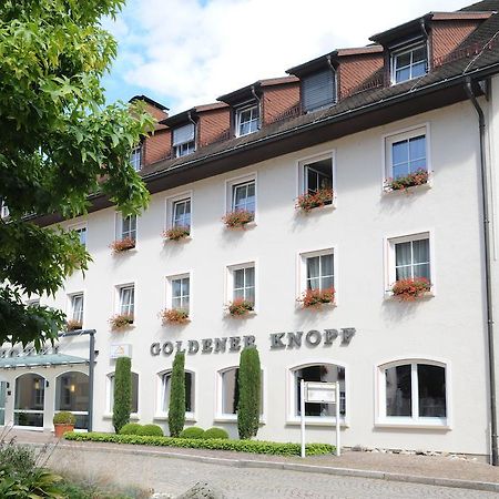 Hotel Goldener Knopf Бад-Зекинген Экстерьер фото